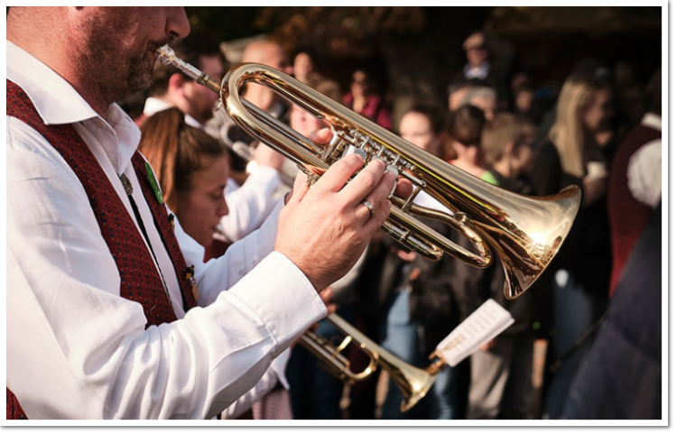 Musikant in Vereinstracht