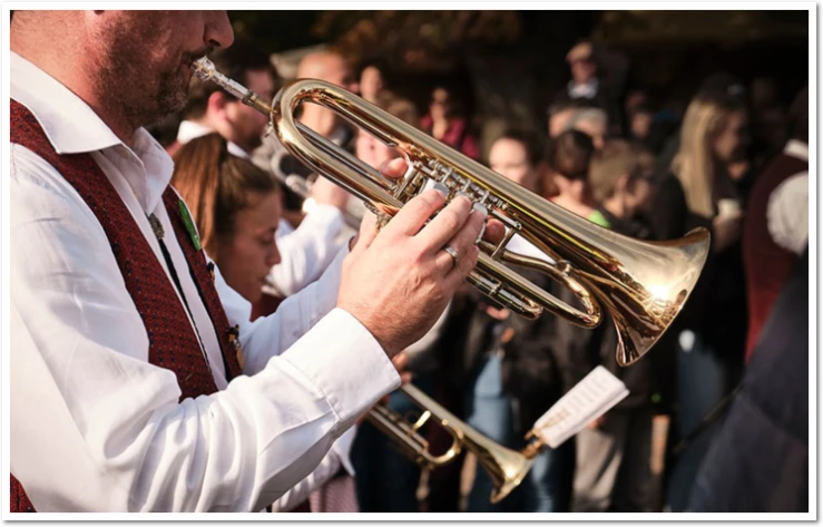 Musikant in Vereinstracht